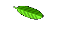 Cool Sites