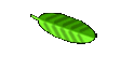 My IT experiences