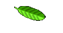 Resume`