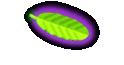 Saba's room