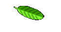 Saba's room